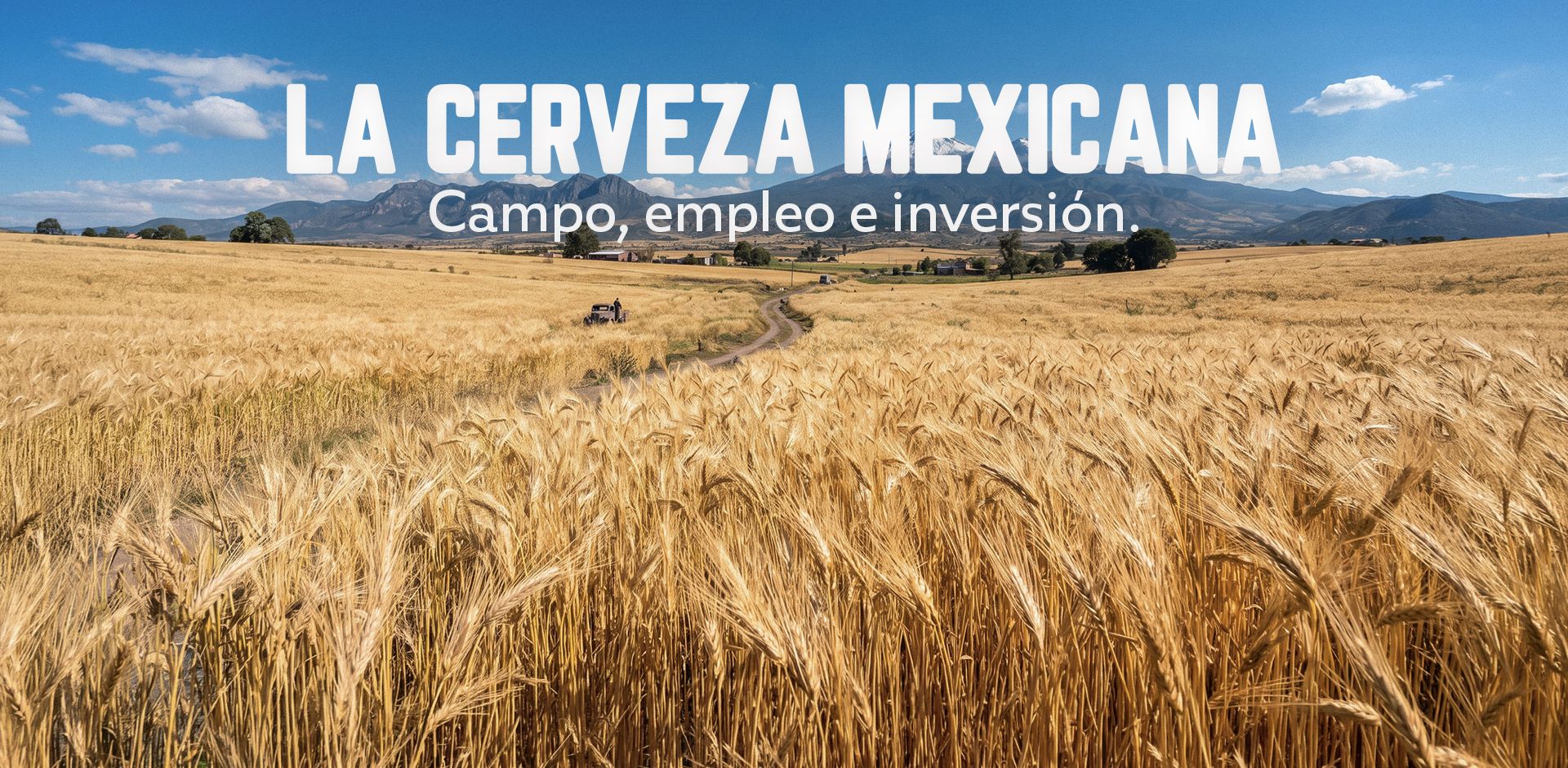La cerveza mexicana: una historia de campo, talento y orgullo por México.